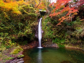 行ってみたい「埼玉県のパワースポット」ランキング！ 2位「華厳の滝」「出雲大社 埼玉分院」、1位は？