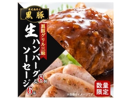 【楽天ふるさと納税】鹿児島県鹿児島市「黒豚生ハンバーグ 8個＆黒豚生ソーセージ6本」の特別セット！冷凍だからこまめに食べれるのも◎【12月28日】