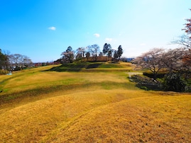 幸福度が高い「宮城県の街（自治体）」ランキング！ 2位「名取市」を抑えた1位は？