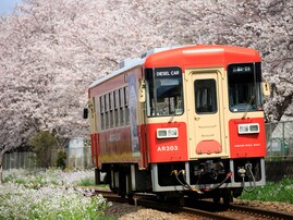 佐賀県の「住み続けたい街（自治体）」ランキング！ 「小城市」を抑えた1位は？