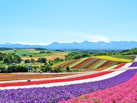 「四季折々の美しい自然景観を持つと思う都道府県」ランキング！2位「北海道」、1位は？