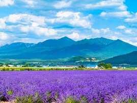 「来世はここに生まれたい」と思う都道府県ランキング！ 2位「北海道」を大差で抑えた1位は？