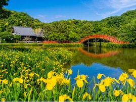 横浜18区で「歴史や文化を大切にしている」と思う区ランキング！ 2位「金沢区」、1位は？