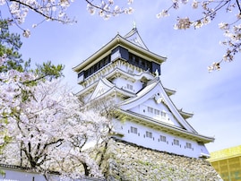 福岡で人気の「桜の名所」ランキング！ 「小倉城」を抑えた1位は？