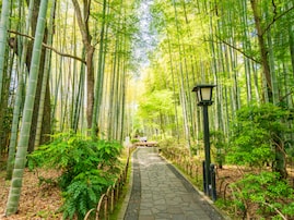 長期休みに行きたい静岡県の「穴場温泉地」ランキング！ 2位「修善寺温泉」、1位は？