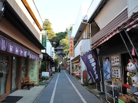 東京から日帰りで行きたい「長野県の温泉地」ランキング！ 2位「別所温泉」を抑えた1位は？