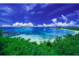 移住したら使ってみたい九州地方のナンバープレートの地名ランキング！ 2位「奄美（鹿児島県）」、1位は？