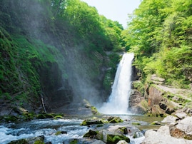 初夏に行きたい「宮城県の新緑が美しいスポット」ランキング！ 2位は「秋保大滝」、1位は？
