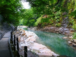 宮城県で「外国人観光客にすすめたい温泉地」ランキング！ 2位「鳴子温泉郷」を抑えた1位は？