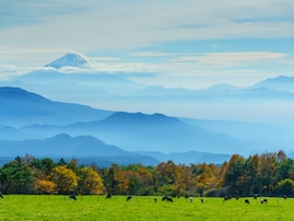 山梨県民が選ぶ「街の住みここち（自治体）」ランキング！ 2位「北杜市」、1位は？