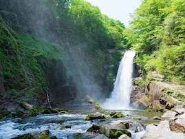好き＆行ってみたい「宮城県のパワースポット」ランキング！ 2位「秋保大滝・猫神社」、1位は？