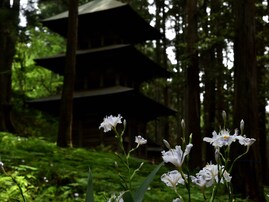 好き＆行ってみたい「福島県のパワースポット」ランキング！ 2位「海雲山慈眼院高蔵寺」、1位は？