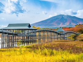 ナンバープレートで地元愛を感じる青森県の地名ランキング！ 2位「青森」と僅差の1位は？