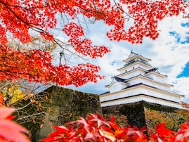 ナンバープレートで地元愛を感じる東北地方の地名ランキング！ 2位「会津（福島県）」、僅差の1位は？