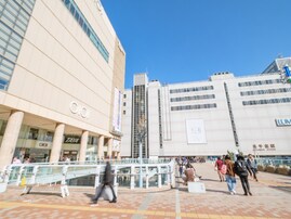 ナンバープレートで地元愛を感じる茨城県の地名ランキング！ 2位「つくば」、1位は？