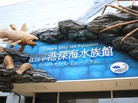 夏に行きたい「静岡県の避暑観光地」ランキング！ 2位「沼津港深海水族館」、1位は？