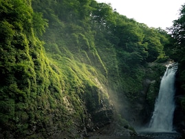 夏に行きたい「宮城県の避暑観光地」ランキング！ 2位「秋保大滝」、大人が喜ぶ1位は？【2025年調査】