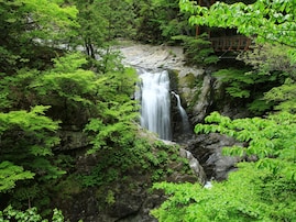 「夏に行きたい奈良県の避暑観光地」ランキング！ 2位「みたらい渓谷」、1位は？【2025年調査】