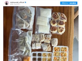 「頑張りすぎないでね」西野未姫、手作り離乳食を公開「本当に尊敬します…これだけ作り置きするの凄すぎます」