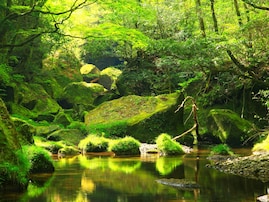 夏に行きたい「大分県の穴場秘境」ランキング！ 2位「深耶馬溪」、1位は？【2025年調査】