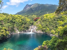 夏に行きたい「鹿児島県の穴場秘境」ランキング！ 2位は屋久島の「千尋の滝」、1位は？【2025年調査】