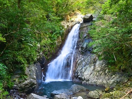 夏に行きたい「沖縄県の穴場秘境」ランキング！ 2位「比地大滝」、同率1位は？【2025年調査】