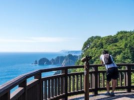 夏に行きたい「岩手県の穴場秘境」ランキング！ 同率2位「北山崎断崖」「五葉山渓流」、1位は？【2025年調査】