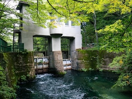 夏に行きたい「青森県の穴場秘境」ランキング！ 「十和田湖子ノ口」などを抑えた1位は？【2025年調査】