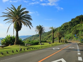 夏に行きたい「宮崎県の絶景ドライブスポット」ランキング！ 2位「日南フェニックスロード」を抑えた1位は？
