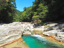 「夏に行きたい愛媛県の穴場秘境」ランキング！ 2位「面河渓」、1位は？【2025年調査】