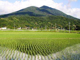 夏に行きたい「茨城県の穴場温泉地」ランキング！ 「筑波山温泉」を大差で抑えた1位は？【2025年調査】