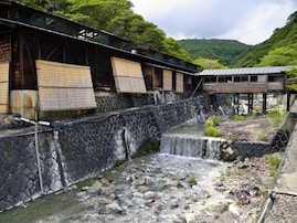 夏に行きたい「栃木県の穴場温泉地」ランキング！ 2位「那須温泉」、圧倒的1位は？【2025年調査】