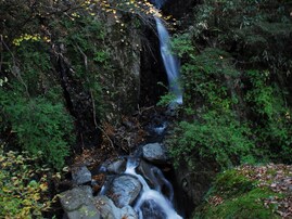 夏に行きたい「静岡県の穴場秘境」ランキング！ 2位「梅ヶ島温泉郷」を抑えた1位は？