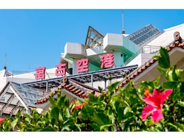 絶景が楽しめると思う「沖縄の空港」ランキング！ 2位「宮古空港」を抑えた1位は？【2025年調査】