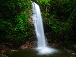 夏に行きたい「東京都の滝」ランキング！ 2位「払沢の滝」を1票差で抑えた1位は？【2025年調査】