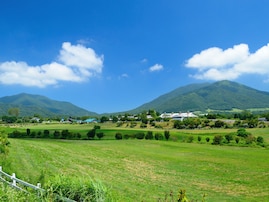 夏に行きたい「岡山県の絶景ドライブスポット」ランキング！ 「蒜山高原・蒜山ジャージーランド」周辺ルートを抑えた1位は？