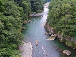 好き＆行ってみたい「栃木県の森林浴スポット」ランキング！ 2位「鬼怒川渓谷」、1位は？【2025年調査】