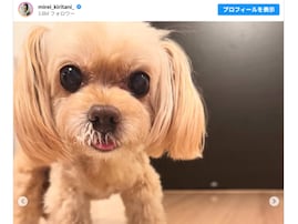 「可愛さがヤバい」桐谷美玲、愛犬14歳の誕生日を祝福「美玲ちゃんに似てる？」「14歳には見えなくてびっくり」