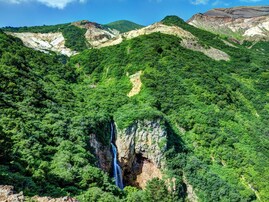 好き＆行ってみたい「宮城県の森林浴スポット」ランキング！ 2位「蔵王不帰の滝」を抑えた1位は？【2025年調査】