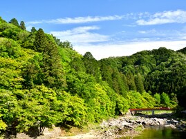 好き＆行ってみたい「愛知県の森林浴スポット」ランキング！ 2位「香嵐渓」を抑えた1位は？【2025年調査】