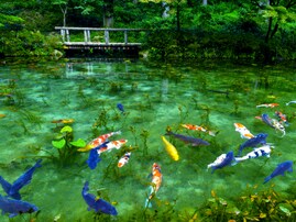 好き＆行ってみたい「岐阜県の森林浴スポット」ランキング！ 2位「モネの池」を抑えた1位は？【2025年調査】