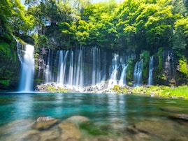 好き＆行ってみたい「静岡県の森林浴スポット」ランキング！ 2位「白糸の滝」を抑えた1位は？【2025年調査】