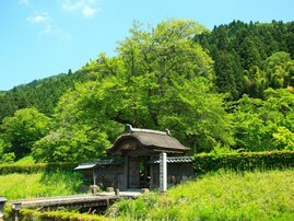 好き＆行ってみたい「福井県の森林浴スポット」ランキング！ 2位「一乗谷朝倉氏遺跡」を抑えた1位は？【2025年調査】