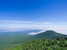 好き＆行ってみたい「青森県の星空スポット」ランキング！ 2位「八甲田山」を抑えた1位は？【2025年調査】