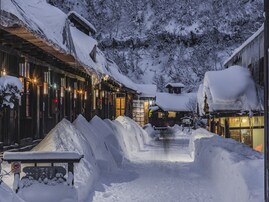 好き＆行ってみたい「秋田県の星空スポット」ランキング！ 2位「乳頭温泉郷」を抑えた1位は？【2025年調査】