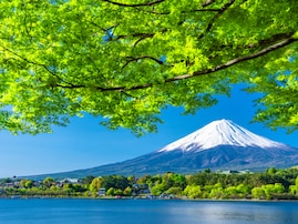 好き＆行ってみたい「山梨県の森林浴スポット」ランキング！ 2位「河口湖」を抑えた1位は？【2025年調査】