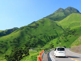 好き＆行ってみたい「大分県の森林浴スポット」ランキング！ 「由布岳」をわずか1票差で抑えた1位は？