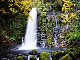 好き＆行ってみたい「熊本県の森林浴スポット」ランキング！ 2位「白糸の滝」を抑えた、圧倒的1位は？