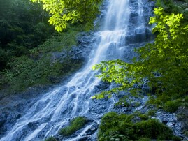 兵庫県で「夏に行きたい滝」ランキング！ 2位「天滝」、1位は？【2025年調査】