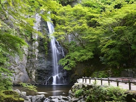 大阪府で「夏に行きたい滝」ランキング！ 2位「せせらぎの滝」、1位は？【2025年調査】